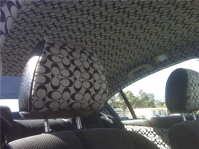 vuitton headliner fabric